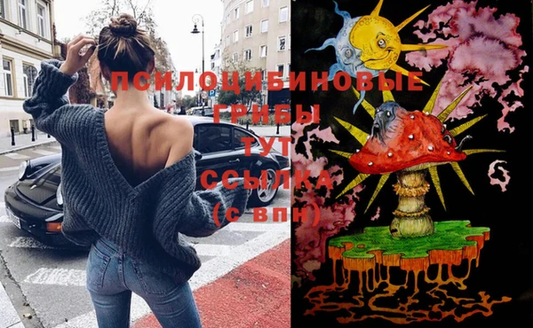 метадон Апатиты