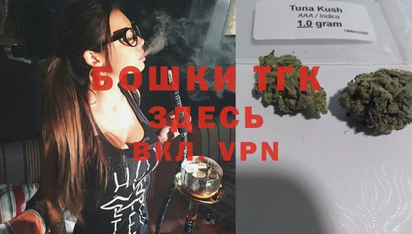 тгк Мегион