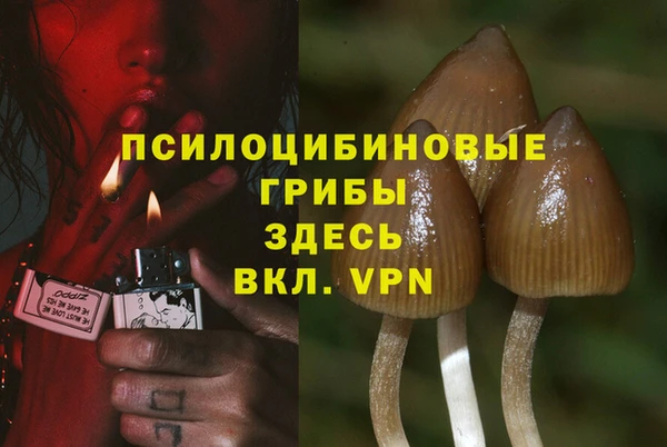 тгк Мегион