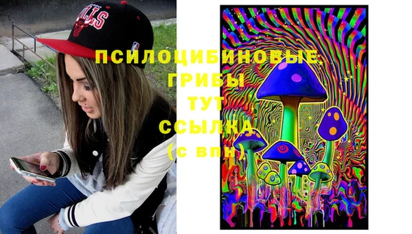 тгк Мегион