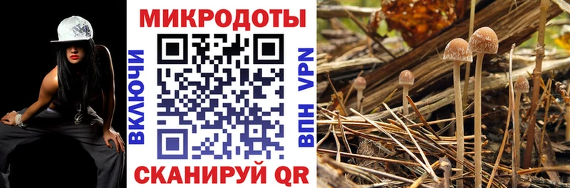 кракен ссылки  Электроугли  Галлюциногенные грибы мицелий 